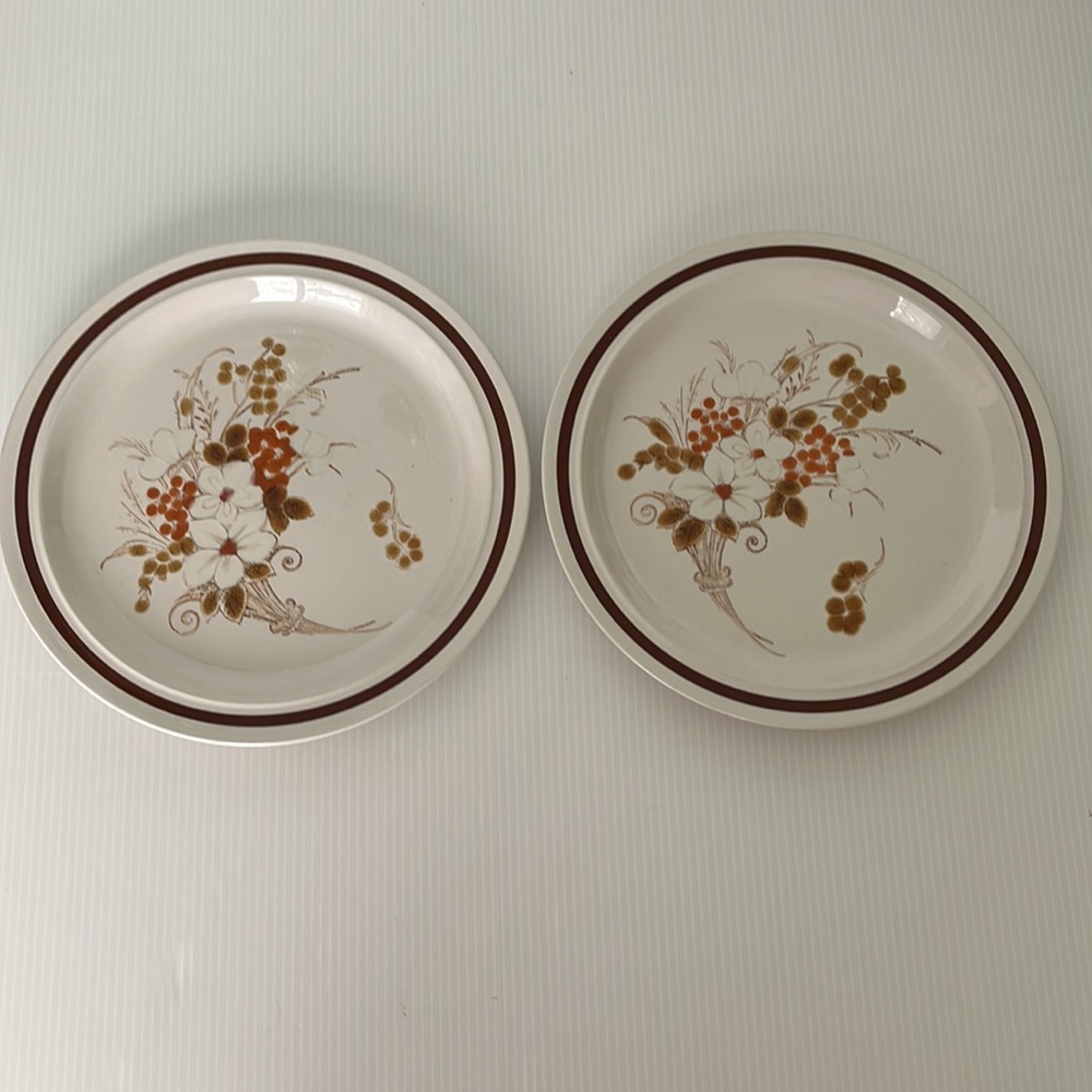 Vintage Four Season’s  Dinner Plates Size 10.75” Diameter